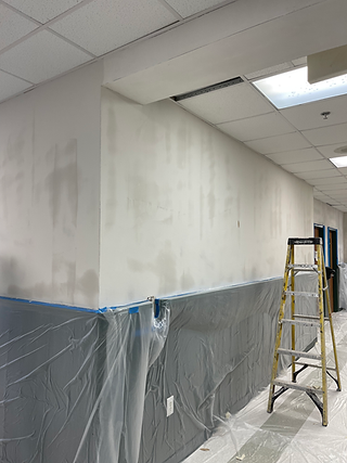 Katina's Flowers wallpaper installation in Cincinnati
