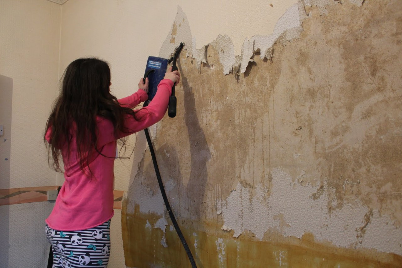 Katina's Flowers wallpaper removal Cincinnati